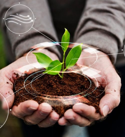 smart-agriculture-iot-with-hand-planting-tree-background_53876-124626
